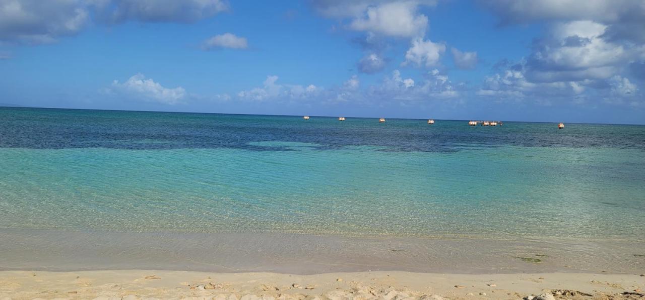 Airport Beach Hotel Montego Bay Zewnętrze zdjęcie