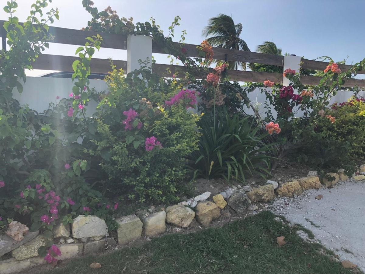 Airport Beach Hotel Montego Bay Zewnętrze zdjęcie
